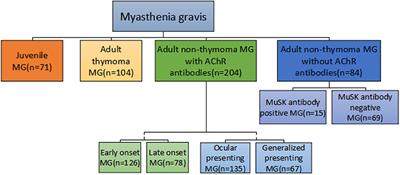 Vitamin D Receptor Polymorphism and Myasthenia Gravis in Chinese Han Population